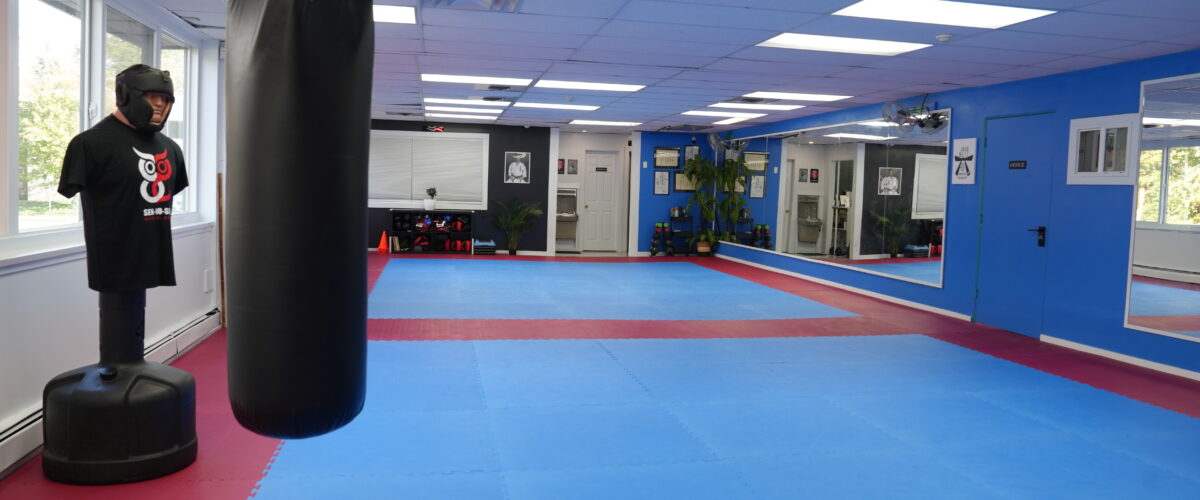 Martial Arts Classes in North Vancouver